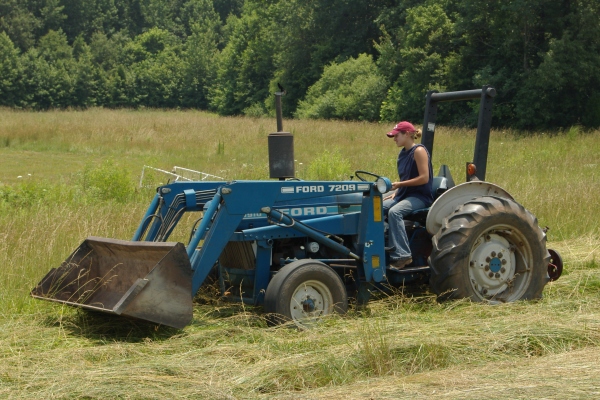 A summer job for oldest daughter. She loved it {farm girl}
