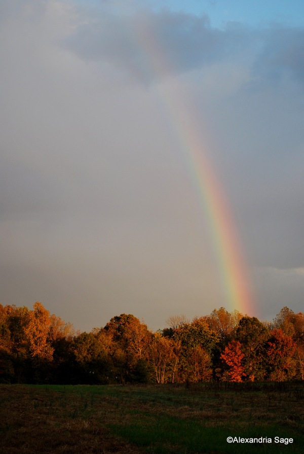 a rainbow in the sky."